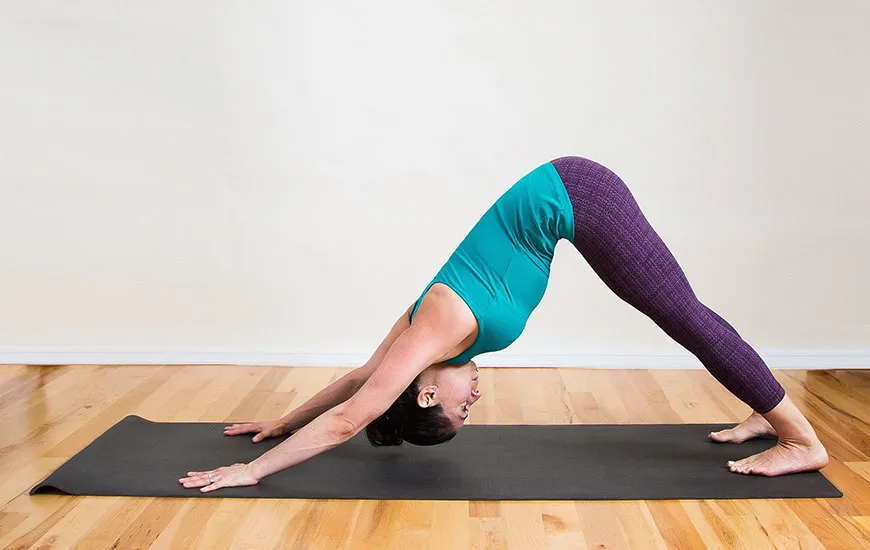 Yoga Downward Facing Dog Pose