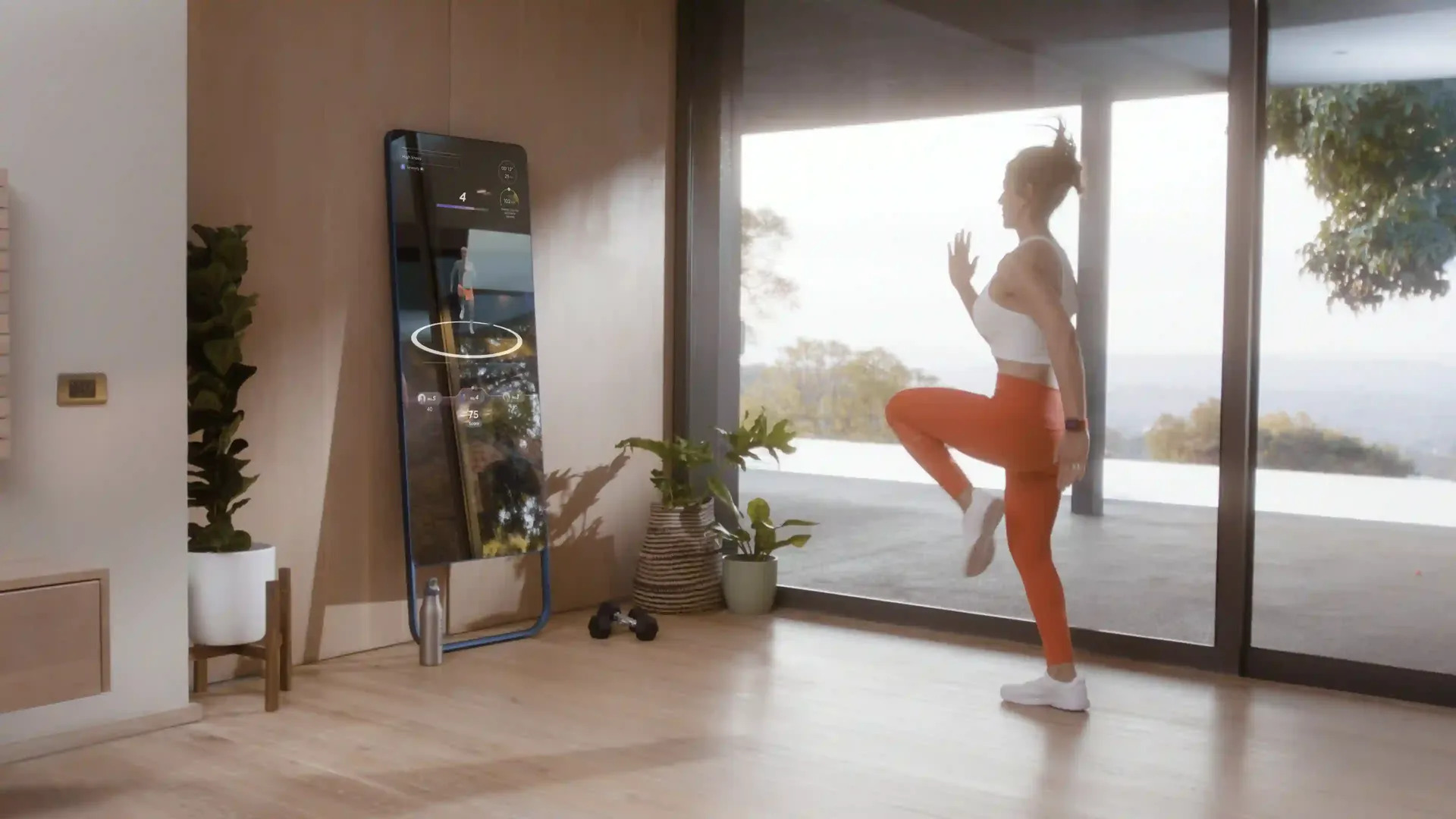 Fiture Smart Home Gym - Mr. Healthy & Ms. Exercise